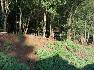 Área rural, foto 9