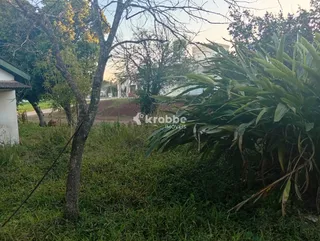 Casa com 2 dormitórios, foto 6