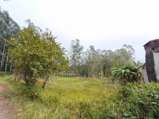 Área rural, foto 1