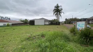 Vista externa de um terreno com grama alta e vegetação no ambiente.
