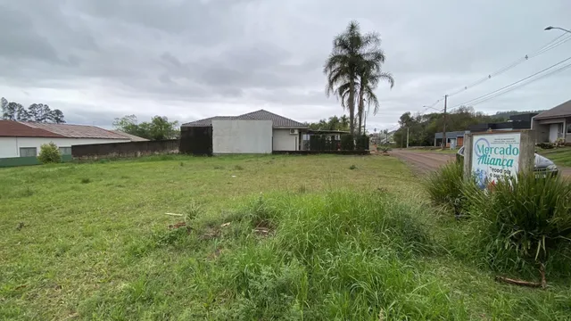 Vista externa de um terreno com grama alta e vegetação no ambiente.