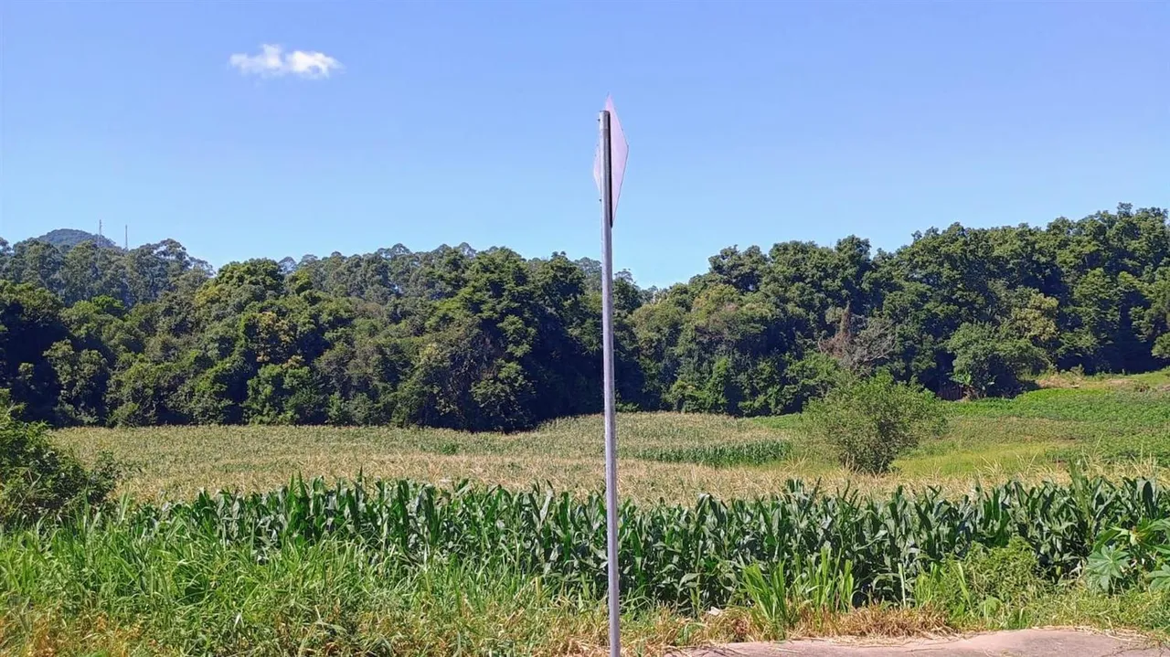 Terreno, foto 1