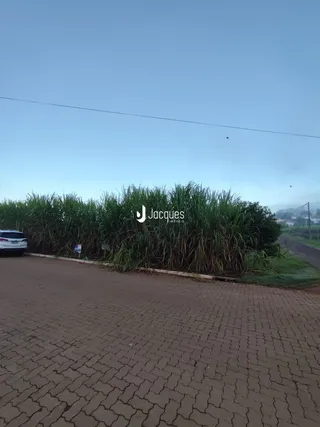 Vista da paisagem com vegetação densa ao lado de uma estrada pavimentada.