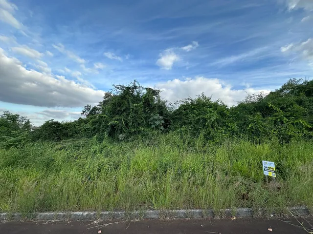 Terreno