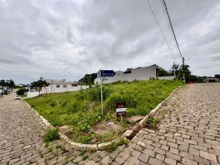 Vista externa de uma propriedade com vegetação alta e um caminho de paralelepípedos.
