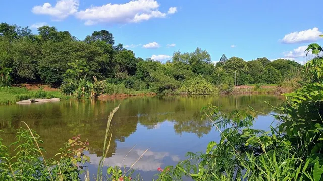 Área rural com 7 dormitórios, foto 2