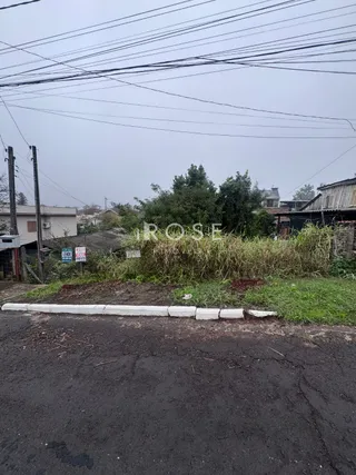 Terreno, foto 2