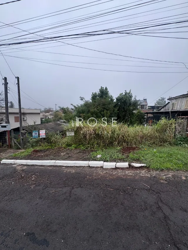 Terreno, foto 2
