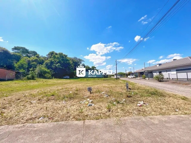 Vista externa de um terreno aberto com vegetação seca sob um céu azul.