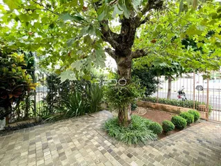 Vista externa de um jardim com piso de tijolos e vegetação densa.