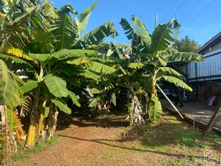 Casa, foto 4