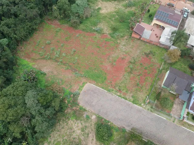 Terreno, foto 5