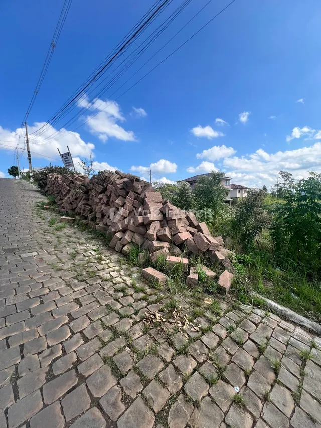 Terreno, foto 2