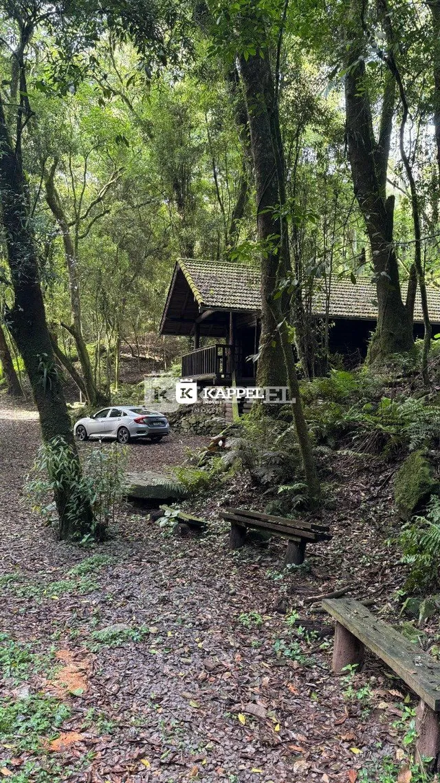 Vista de uma trilha arborizada com um pequeno galpão rústico ao fundo.