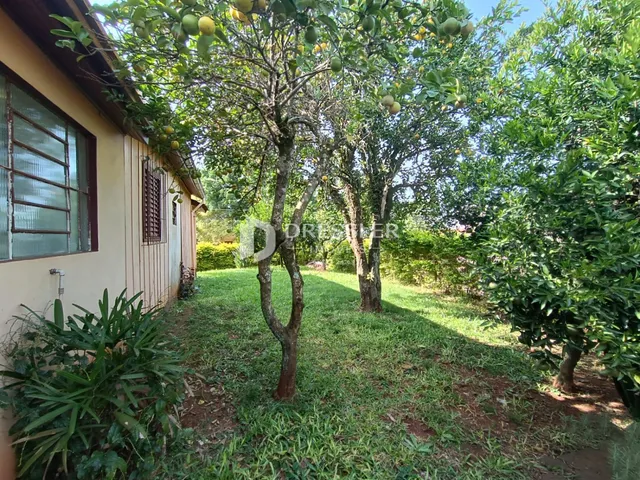Terreno, foto 2