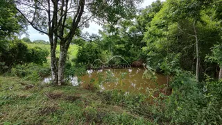 Vista de uma área verde com vegetação densa e um corpo d'água.