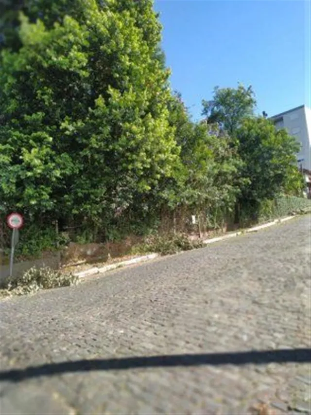 Terreno, foto 2