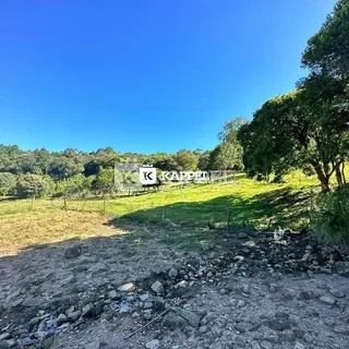 Vista de um campo gramado com vegetação e árvores ao fundo.