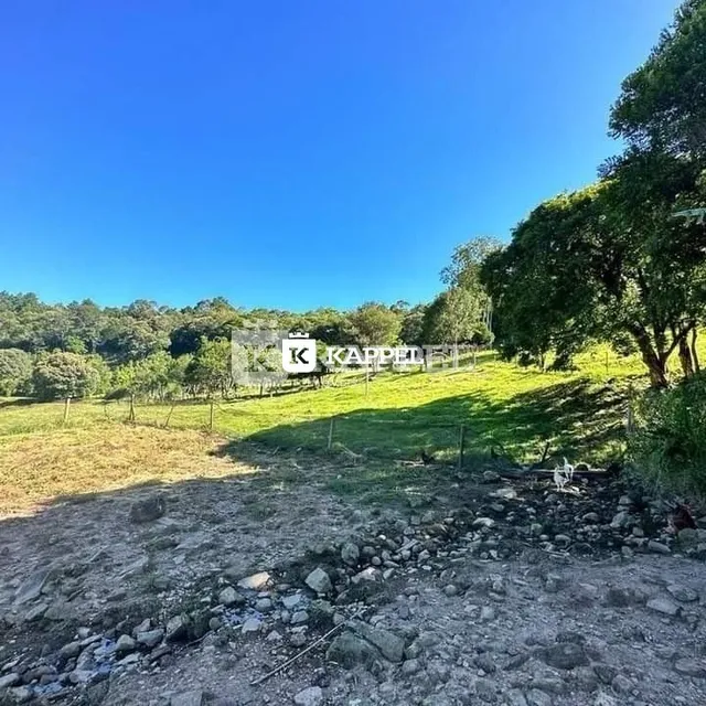 Vista de um campo gramado com vegetação e árvores ao fundo.