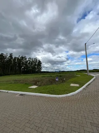 Terreno, foto 1