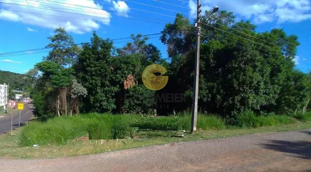 Terreno, foto 2