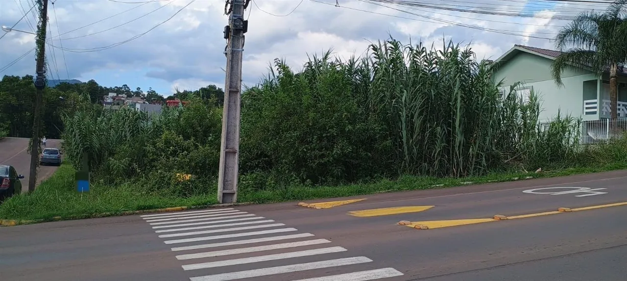 Terreno, foto 1