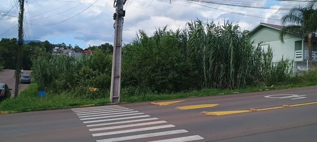 Terreno