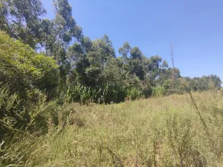 Área rural com 2 dormitórios, foto 17