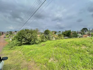 Vista externa de uma área gramada com vegetação densa.