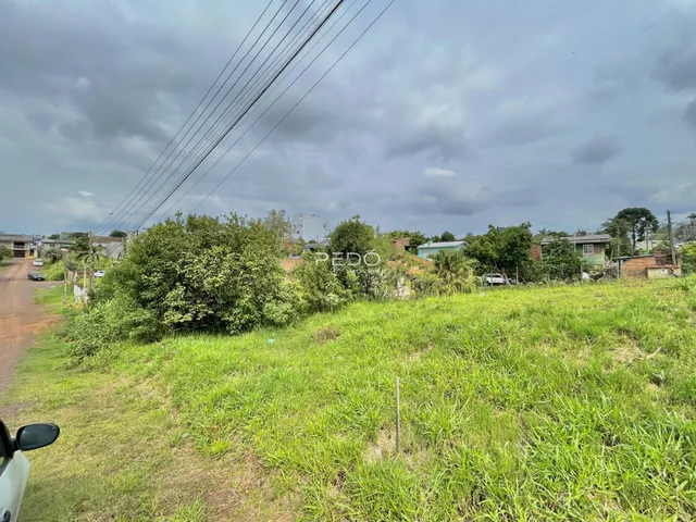 Vista externa de uma área gramada com vegetação densa.