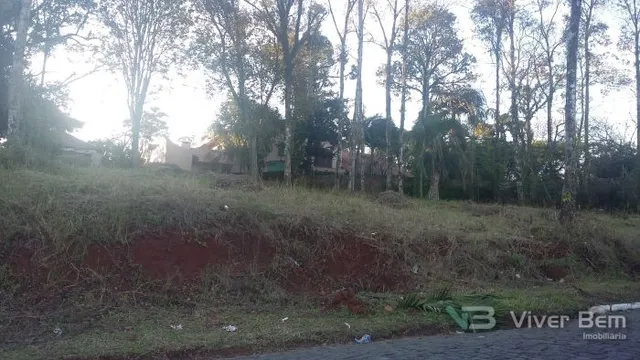 Terreno, foto 2
