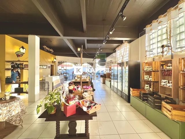 Vista de um corredor comercial com prateleiras de madeira e expositores.
