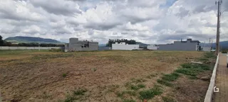 Terreno, foto 2