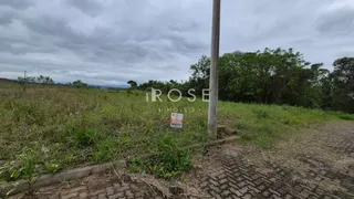 Vista de um campo com vegetação alta e um poste no meio da imagem.