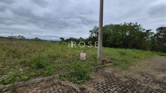 Vista de um campo com vegetação alta e um poste no meio da imagem.