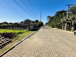 Vista da rua em Lajeado, Brasil, com muro e vegetação ao longo da via.