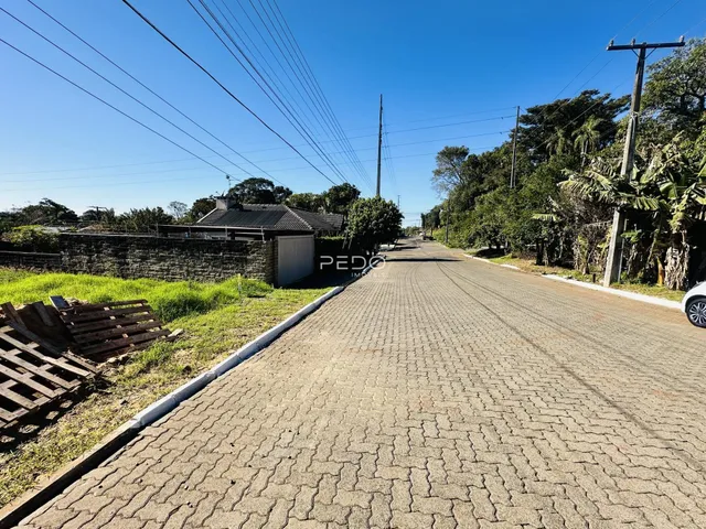 Vista da rua em Lajeado, Brasil, com muro e vegetação ao longo da via.