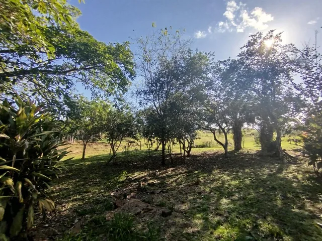 Área rural com 2 dormitórios, foto 5