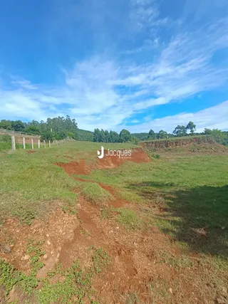Vista de uma área de campo com vegetação e terra no Brasil.