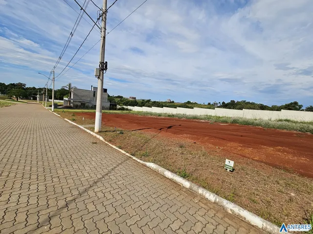 Terreno, foto 5
