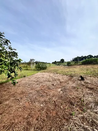 Área rural com 2 dormitórios, foto 13