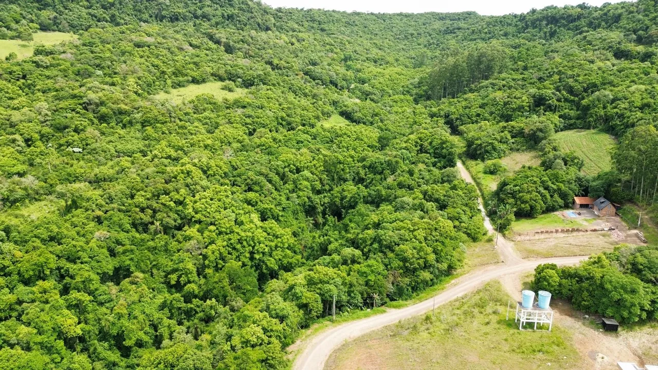 Vista aérea de uma propriedade com vegetação densa e estradas de terra.