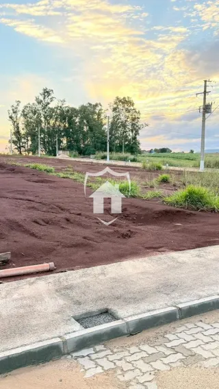 Terreno, foto 3