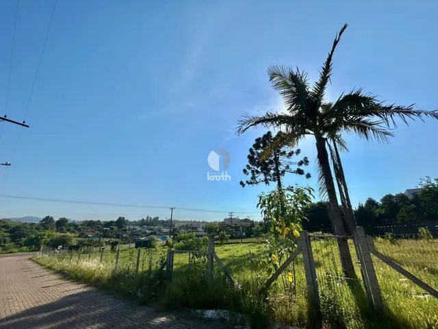 Terreno, foto 3
