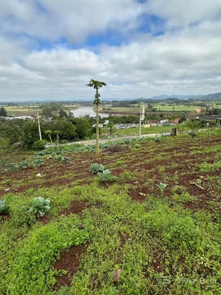 Terreno, foto 3
