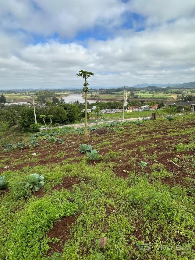 Terreno, foto 3