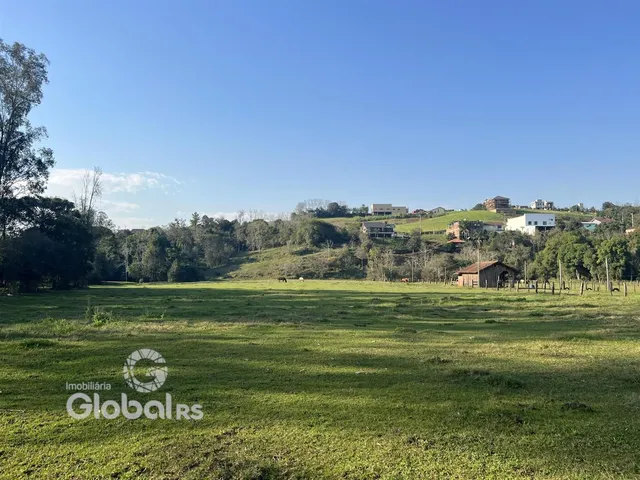 Paisagem de campo com colinas e vegetação no horizonte.