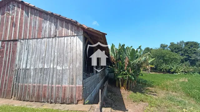 Área rural com 3 dormitórios, foto 3