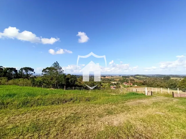 Área rural com 3 dormitórios, foto 2