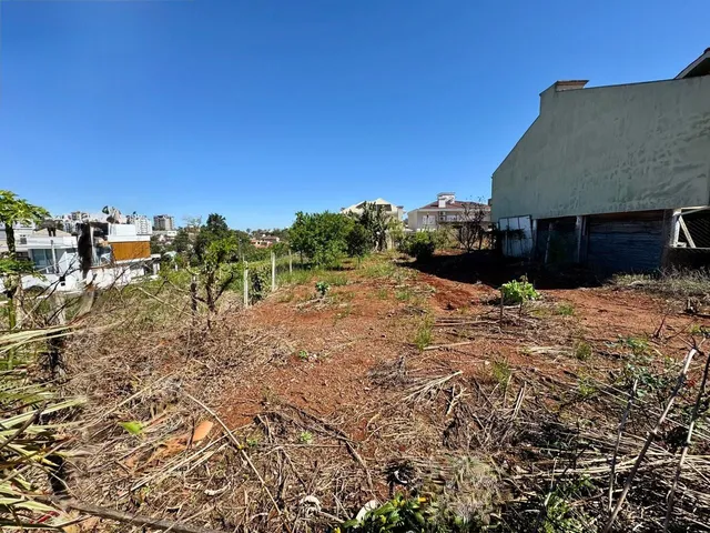 Terreno, foto 2
